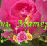 день матери - Администрация МР Кизлярского