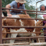 111111WhatsApp Image 2024-07-31 at 10.55.10 - Администрация МР Кизлярского
