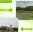 QptHCa1by4bxGyZXTFFw3R9km6c18bPusKNoH-FWX3l9PaQFeR1rmU5X_dBKS3vi6bsOPnSo69aI2hUFGiDb_YtR.jpg - Администрация МР Кизлярского