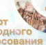 BTtyTLmwZ5zXejljhpourWZSza8FuXsu6V1KDQBc9R-VfUL4JgMH8Pl4gfQ4lN4XVSLi-C7aZzcRiSww4CgXPSqj.jpg - Администрация МР Кизлярского